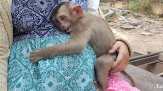 Incredible Rescuer Reveals Heartbreaking Upset Story of Bravo! Mom KT In Tears (So So Pity)