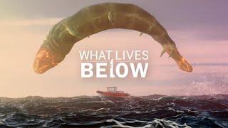 What Lives Below (Hunt massive sea monsters)