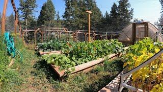 High Altitude Garden Tour - 2021
