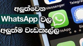 Whatsapp new update | sinhala