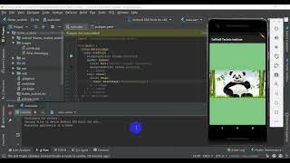 AssetImage || Insert Image Locally || Flutter Tutorial || Rifat Ahmed