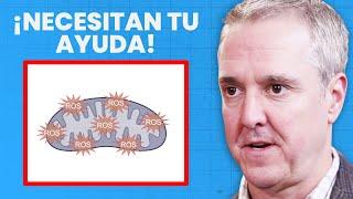 Cómo reparar tus mitocondrias si están envejecidas y dañadas | Dr. Chris Palmer