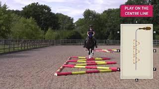 Four polework layouts to try with your horse | Horse&Rider