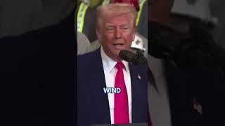 Trump: 'Germany went so green they almost went out of business'