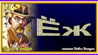 Ёж, Михаил Пришвин , Рассказы детям  , читает Павел Беседин