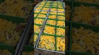 THIS Is Where I Get My Freeze Drying Supplies!