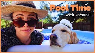 Pool Time: Swimming with My Dog, Oatmeal!