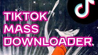 How to download TikTok videos in batch