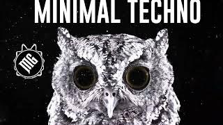 EVIL OWL - MINIMAL TECHNO ENERGY 2021 SUMMER