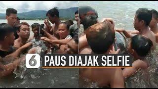 VIDEO: Viral Paus Orca Diajak Selfie Warga, Ini Faktanya | Viralin bosqu