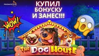 ZANOS | ПОКУПАЕМ БОНУС ЗА 32000 В СЛОТЕ DOG HOUSE MEGAWAYS | DOG HAUSE CASIBO DRIP | BONUS 150%