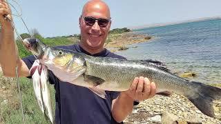 bizerte chasse sous marine avec les amis