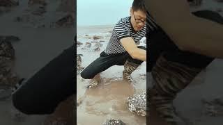 Wow ASMR Relaxing Satisfying fishing videos Phann Phuy Fishing tonight(3)