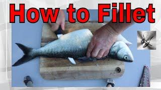 How to Fillet a Salmon | Fishing & Cooking | The Hook and The Cook