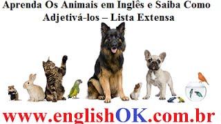 Aprenda Os Animais em Inglês e Saiba Como Adjetivá-los – Lista Extensa