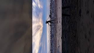 Moving Meditations ft. A driftwood tree to challenge strength, coordination, balance, focus etc