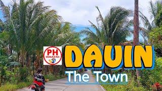 DAUIN  - The Town