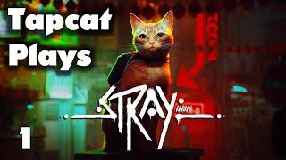 Tapcat Plays Stray Part 1