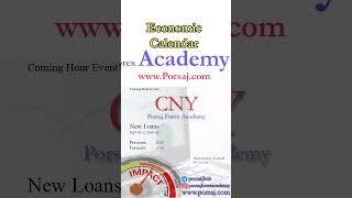 CNY: New Loans - Forex Forecast by Economic Calendar