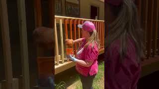 Staining Balusters(CLEAN THOUGHTS) #offgrid  #homeimprovement #shorts #laugh #cabin @MinwaxUSA