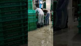 #Eris best milk #viralvideo #highspeed #machine #2025trendingvideos #likeandsubscribe #viralshorts 