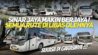 BUS TERAMAI DI TERMINAL & DI JALAN‼️HAMPIR SEMUA RUTE DI LIBAS PO INI‼️SINAR JAYA TETAP BERJAYA