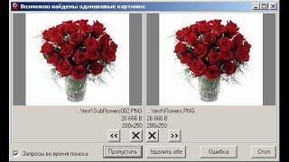AntiDupl - Очень неплохая программа программа поиска похожих изображений