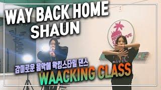 Waacking dance / 왁킹 클래스 / 강남 논현댄스학원 / 네온댄스학원 / way back home 댄스