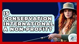 Is Conservation International A Non-profit? - Chasing Big Fish