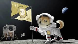 JAX - Dear Elon (Take me to the Moon) Full Song (Dogecoin Song)