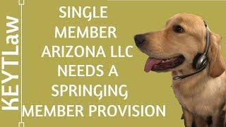 Single Member Arizona LLC Needs a Springing Member Provision