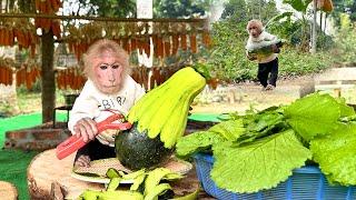 Bibi is capable of helping Dad harvest and process pumpkins!