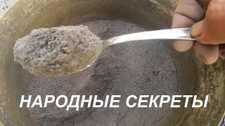 Куры несушки Народный заменитель кальция