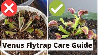 The Complete Venus Fly Trap Care Guide 