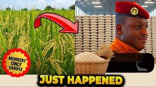 WOW! Burkina Faso’s Rice Production Just HIT a New Record!