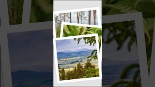 How to Improve Your Photography Skills on Nature Walks. Photography Challenge #photography #outdoors