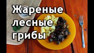 Как приготовить жареные грибы: подосиновики, подберезовики, боровики, лисички рецепт