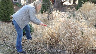 A new approach to spring garden cleanup