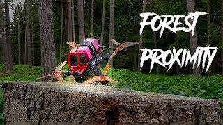 FPV Forest Proximity - Woods with Flow