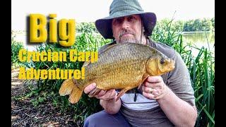 Big Crucians and Tench Adventure! | Specimen fishing