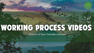 Elysium of Soul's Content Creation And Production Process #3