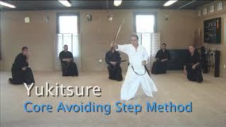 Okuden Yukitsure Kata, Application & footwork!