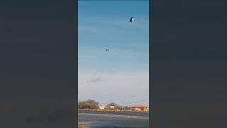 World Record Kitesurf Jump?  Guess the height!