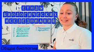 Методы биологических исследований.