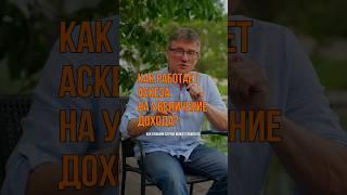 Как увеличить доход с помощью аскезы? #аскеза #желания #бизнес #доход #деньги