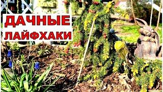 Дачные лайфхаки. Внуков заперли, чтобы не мешали работать. Рабочие выходные