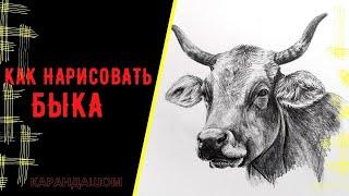 How to draw a BULL with a pencil. Как нарисовать БЫКА карандашом.