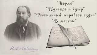 Н. А. Лейкин "Норма", "Купчиха и кучер", "Рассыльный мирового судьи", "В морозы" рассказы аудиокниги