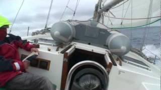 Singing dolphins Azores Atlantic Sailing / Поющие дельфины