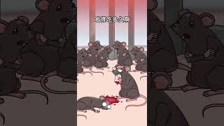古代酷刑--鼠刑#漫画#科普# #聚猿创团队#知识 #搞笑漫画